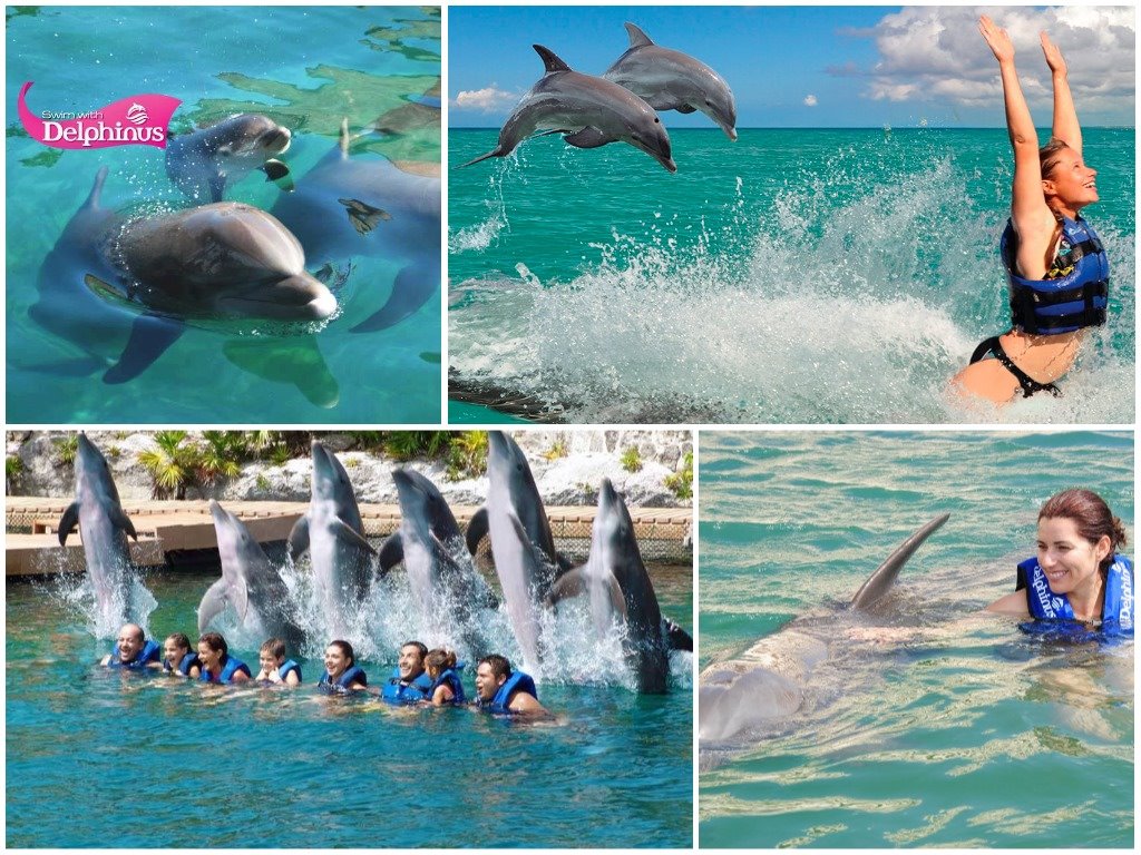 PAQUETE TULUM COBA 5-COLORADAS-DELFINES PRIMAX