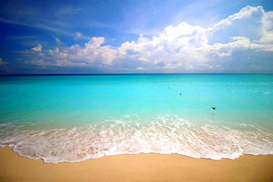 PAQUETE HOLBOX-COZUMEL CATAMARAN - CONTOY