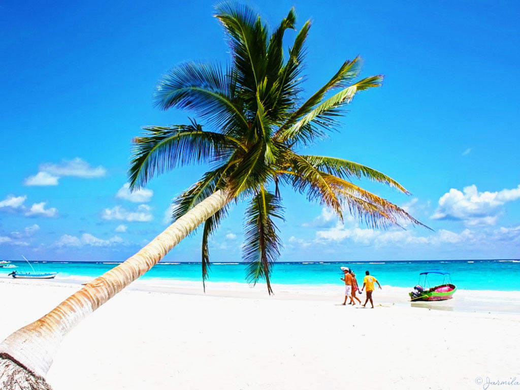 TULUM CINCO EN UNO - TULUM-PLAYA PARAISO-COBA-CENOTE-ALDEA MAYA
