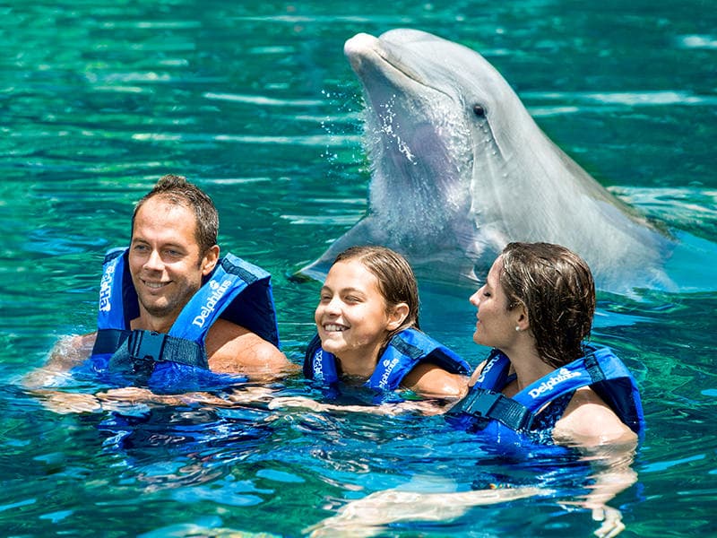 XEL HA CON TRANSPORTE DESDE PLAYA DEL CARMEN- PRECIO NACIONAL CON INE