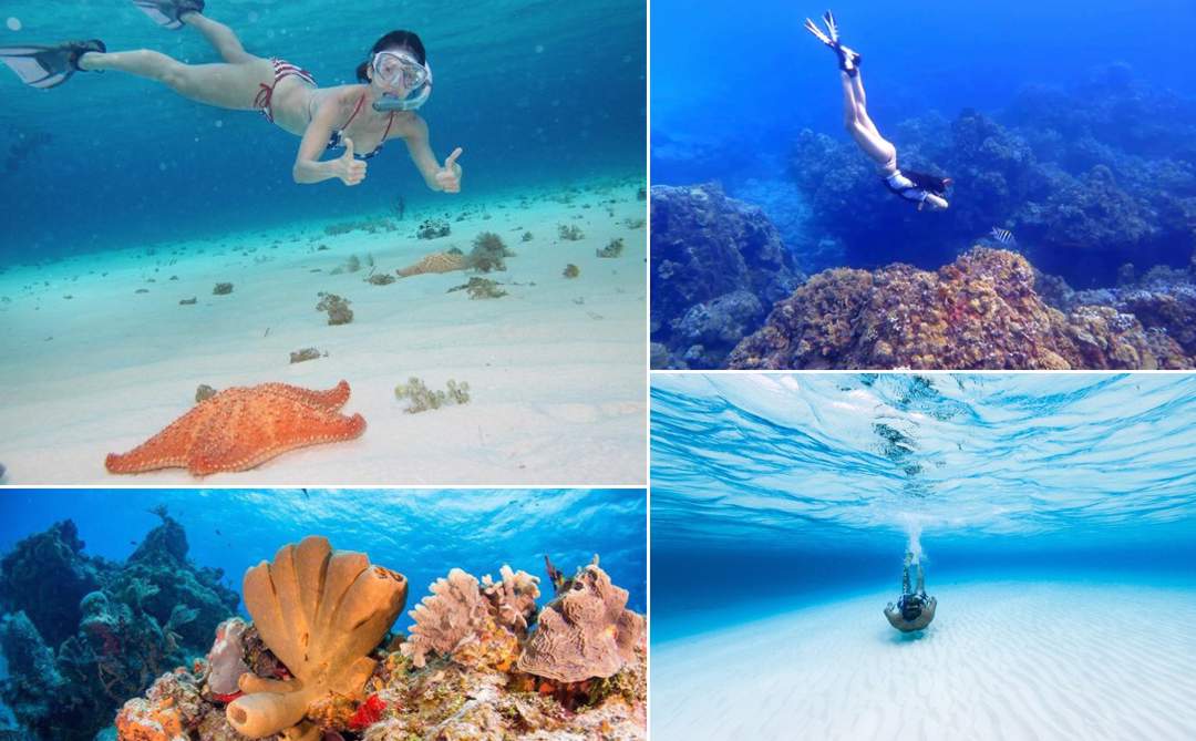 CATAMARAN-COZUMEL-EL CIELO-SNORKEL
