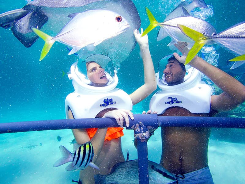 XEL HA CON TRANSPORTE DESDE PLAYA DEL CARMEN- PRECIO NACIONAL CON INE