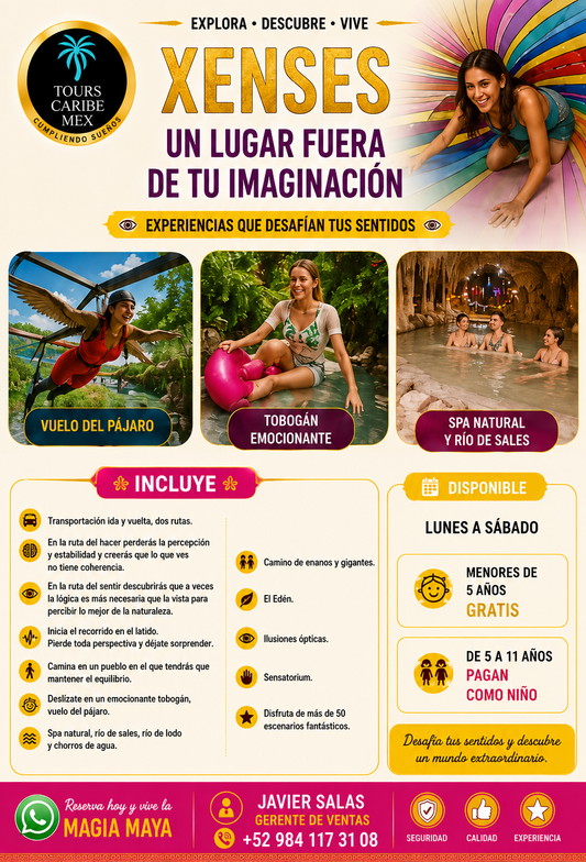 XENSES CON TRANPORTE DESDE PC /PRECIO NACIONALES CON INE