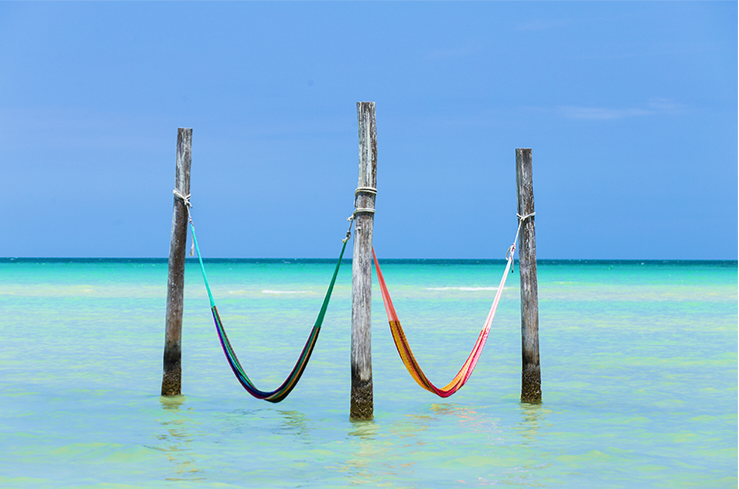 HOLBOX DELUXE