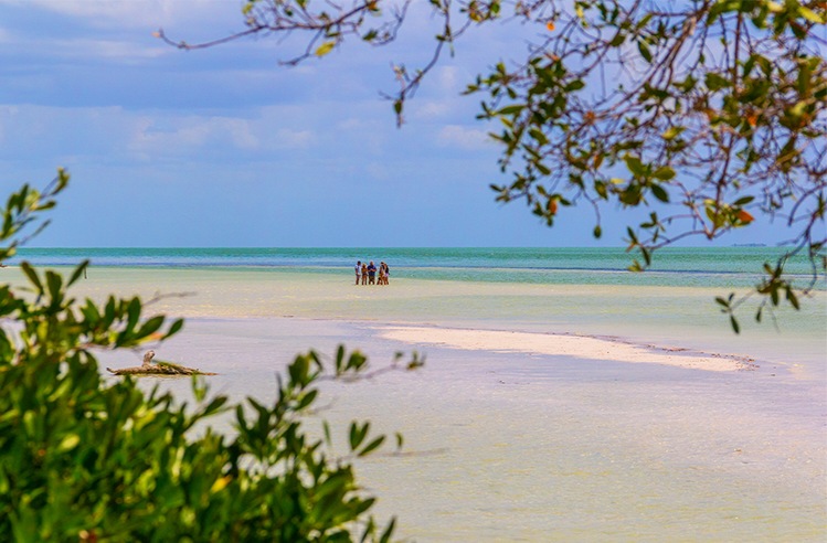 HOLBOX DELUXE