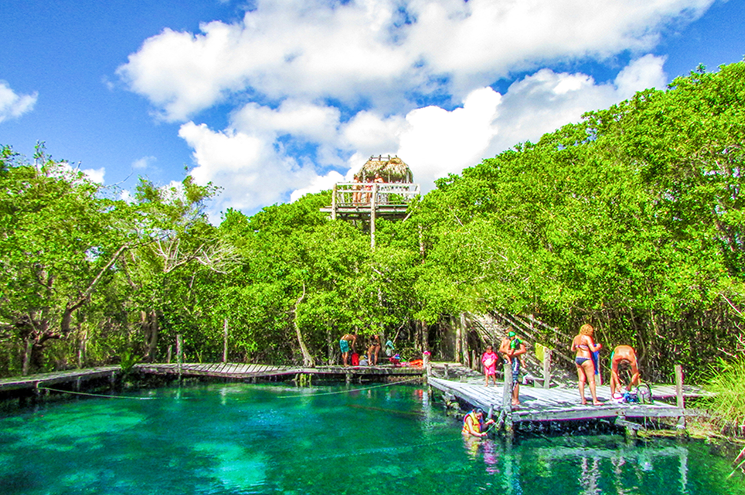 HOLBOX DELUXE
