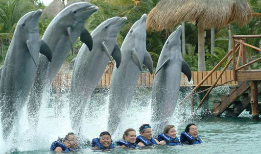 DELFINES PRIMAX