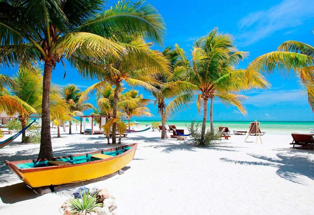 HOLBOX DELUXE