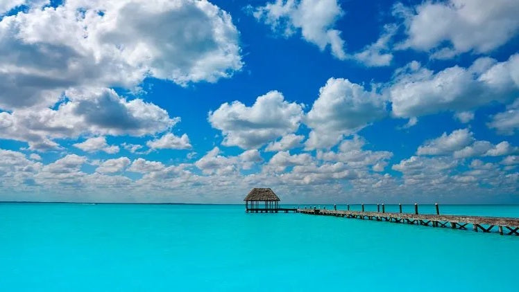HOLBOX DELUXE